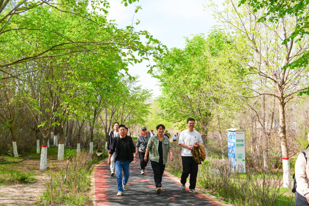 绿径同行·步筑新途 | 微玩体育物流团队徒步团建之旅