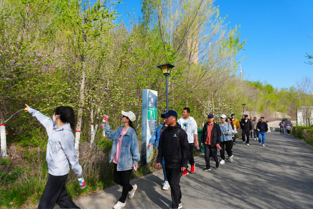 绿径同行·步筑新途 | 微玩体育物流团队徒步团建之旅